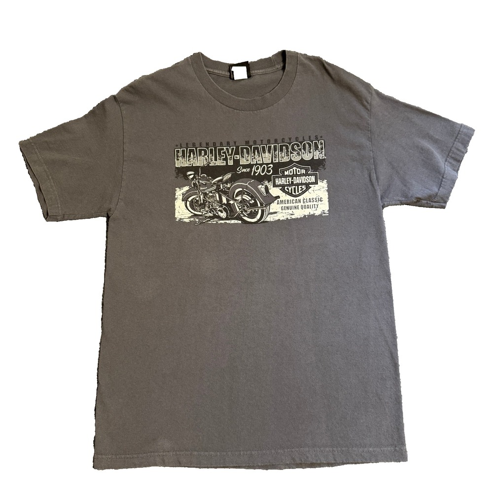 Harley-Davidson Shirt Mens L Gray Motorcycle Graphic Tee Biker Retro Streetwear